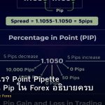 Pip คืออะไร? Point Pipette วิธีคำนวณ Pip ใน Forex อธิบายครบ