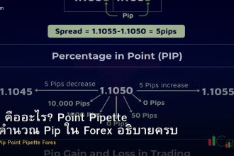 Pip คืออะไร? Point Pipette วิธีคำนวณ Pip ใน Forex อธิบายครบ