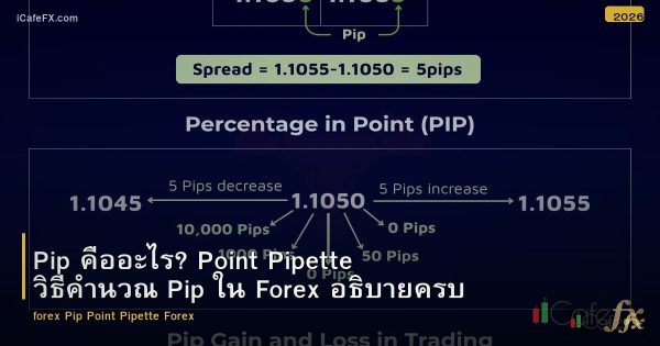 Pip คืออะไร? Point Pipette วิธีคำนวณ Pip ใน Forex อธิบายครบ