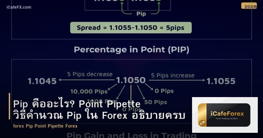 Pip คืออะไร? Point Pipette วิธีคำนวณ Pip ใน Forex อธิบายครบ