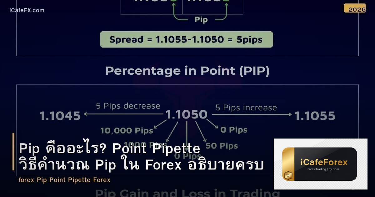 Pip คืออะไร? Point Pipette วิธีคำนวณ Pip ใน Forex อธิบายครบ