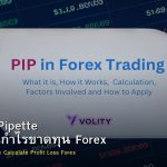 Pip Point Pipette วิธีคำนวณกำไรขาดทุน Forex