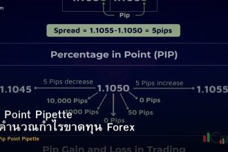 Pip Point Pipette วิธีคำนวณกำไรขาดทุน Forex