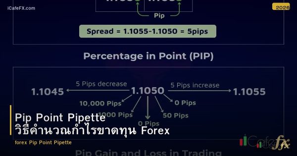 Pip Point Pipette วิธีคำนวณกำไรขาดทุน Forex