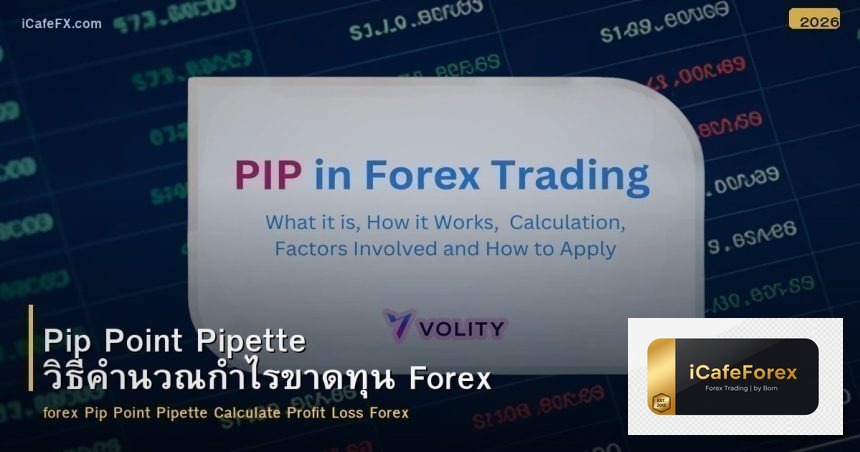 Pip Point Pipette วิธีคำนวณกำไรขาดทุน Forex
