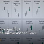 Pip Point Tick คืออะไร? หน่วยวัดการเคลื่อนไหวราคา Forex อธิบายง่ายๆ