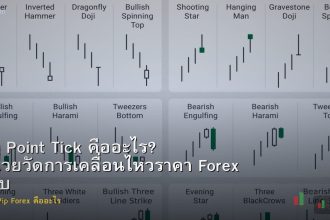 Pip Point Tick คืออะไร? หน่วยวัดการเคลื่อนไหวราคา Forex อธิบายง่ายๆ