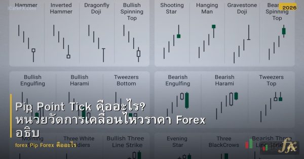 Pip Point Tick คืออะไร? หน่วยวัดการเคลื่อนไหวราคา Forex อธิบายง่ายๆ