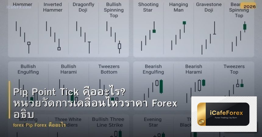 Pip Point Tick คืออะไร? หน่วยวัดการเคลื่อนไหวราคา Forex อธิบายง่ายๆ