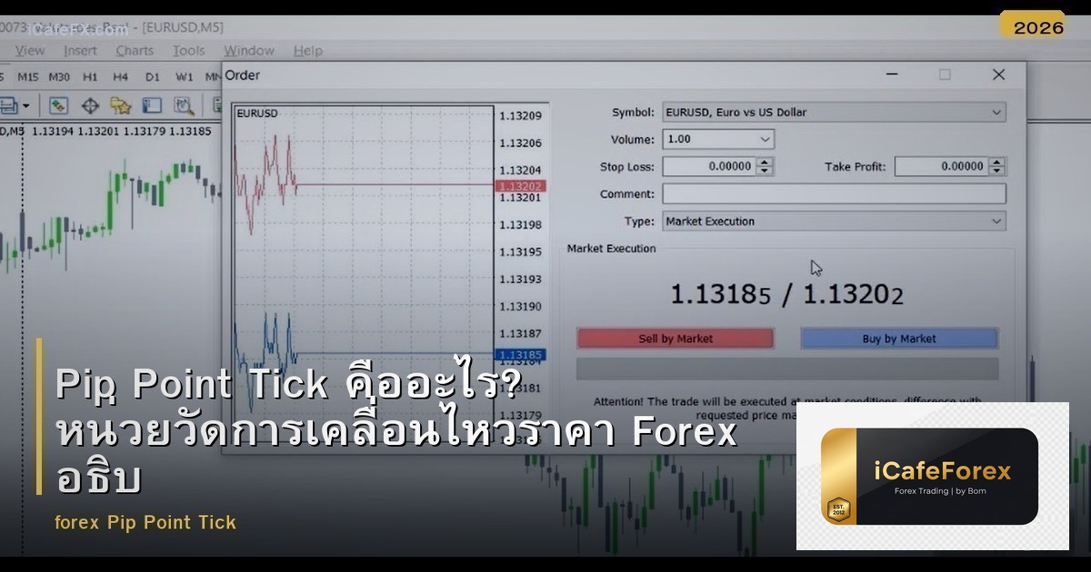 Pip Point Tick คืออะไร? หน่วยวัดการเคลื่อนไหวราคา Forex อธิบายง่ายๆ