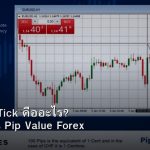 Pip Point Tick คืออะไร? วิธีคำนวณ Pip Value Forex