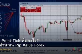 Pip Point Tick คืออะไร? วิธีคำนวณ Pip Value Forex