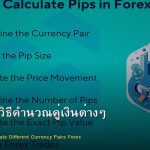 Pip Value วิธีคำนวณคู่เงินต่างๆ Forex