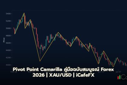 Pivot Point Camarilla คู่มือฉบับสมบูรณ์ Forex 2026