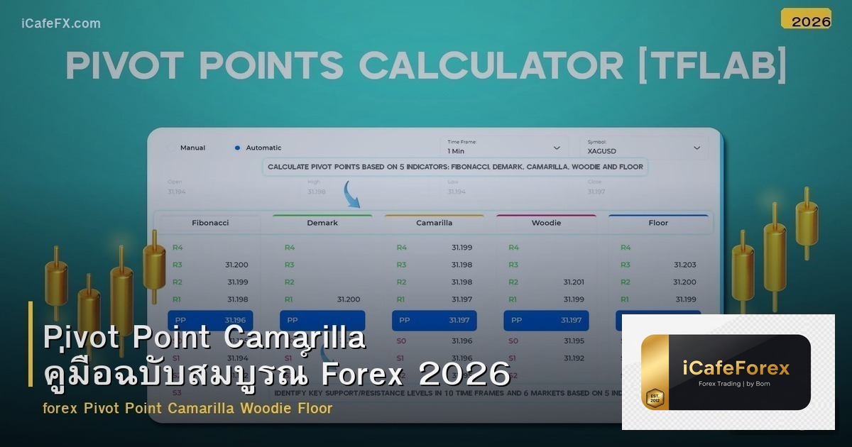 Pivot Point Camarilla คู่มือฉบับสมบูรณ์ Forex 2026
