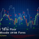 Pivot Point วิธีใช้ Floor Camarilla Woodie เทรด Forex