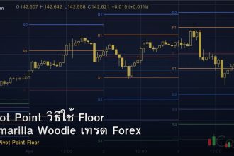 Pivot Point วิธีใช้ Floor Camarilla Woodie เทรด Forex