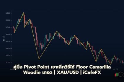 Pivot Point วิธีใช้ Floor Camarilla Woodie เทรด Forex