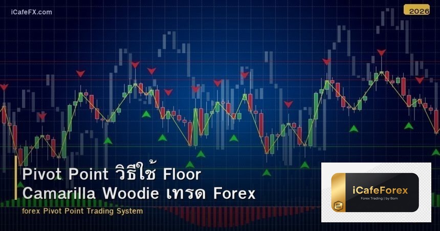 Pivot Point วิธีใช้ Floor Camarilla Woodie เทรด Forex