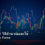 Pivot Point วิธีคำนวณและใช้ Pivot เทรด Forex
