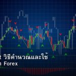 Pivot Point วิธีคำนวณและใช้ Pivot เทรด Forex