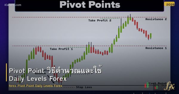 Pivot Point วิธีคำนวณและใช้ Daily Levels Forex