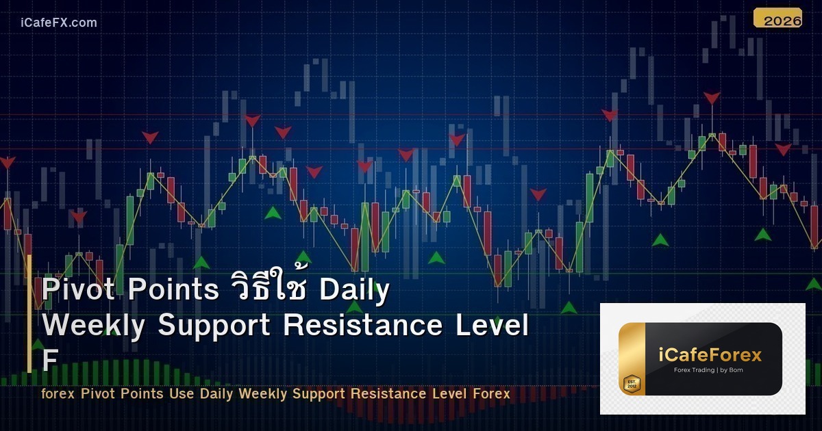 Pivot Points วิธีใช้ Daily Weekly Support Resistance Level Forex