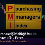 PMI วิธี Purchasing Managers Index กระทบค่าเงิน Forex
