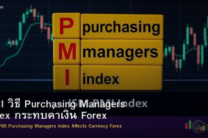 PMI วิธี Purchasing Managers Index กระทบค่าเงิน Forex