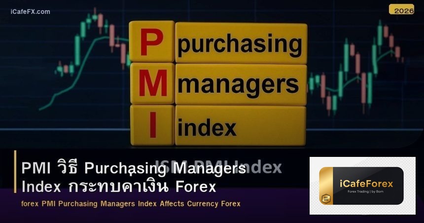 PMI วิธี Purchasing Managers Index กระทบค่าเงิน Forex