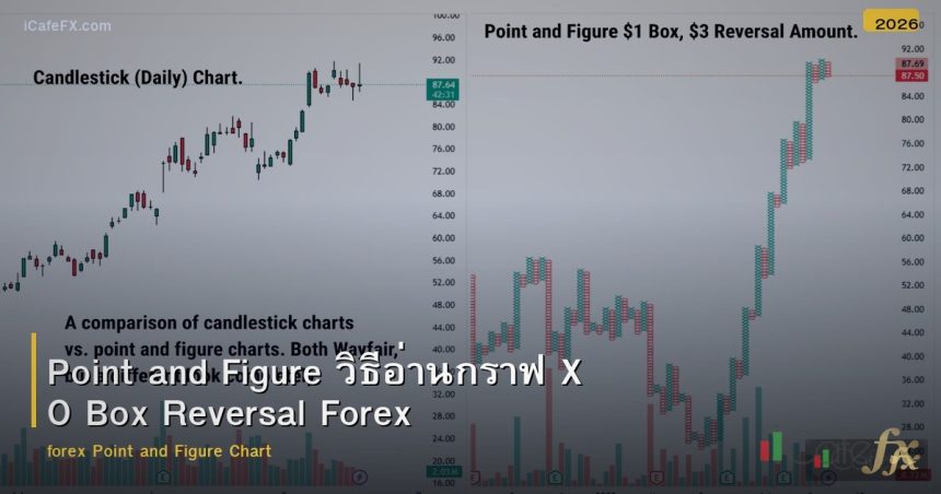 Point and Figure วิธีอ่านกราฟ X O Box Reversal Forex