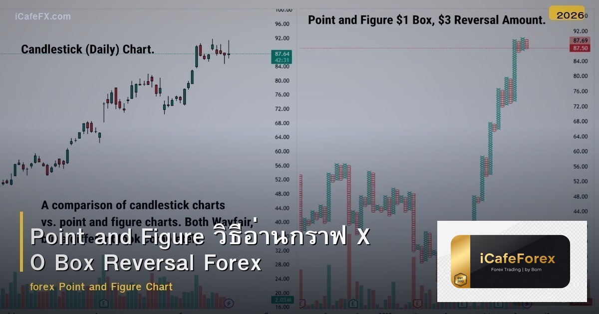 Point and Figure วิธีอ่านกราฟ X O Box Reversal Forex