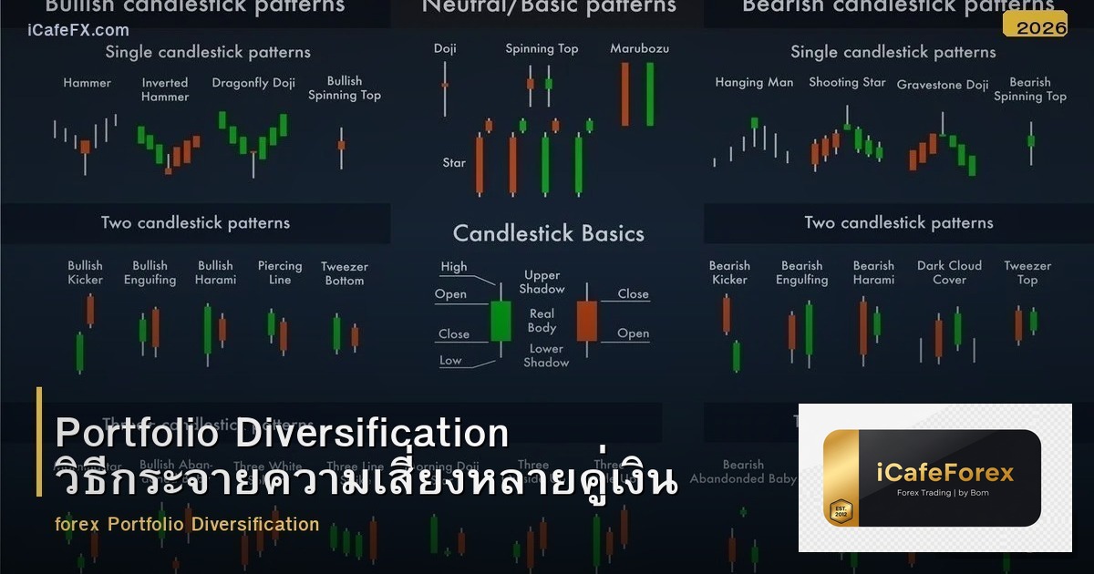 Portfolio Diversification วิธีกระจายความเสี่ยงหลายคู่เงิน