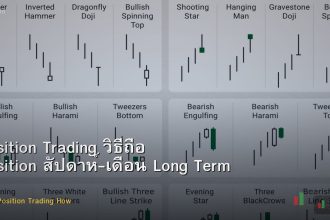Position Trading วิธีถือ Position สัปดาห์-เดือน Long Term Forex
