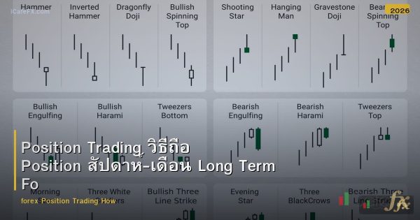Position Trading วิธีถือ Position สัปดาห์-เดือน Long Term Forex