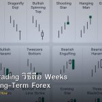 Position Trading วิธีถือ Weeks Months Long-Term Forex