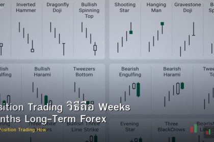 Position Trading วิธีถือ Weeks Months Long-Term Forex