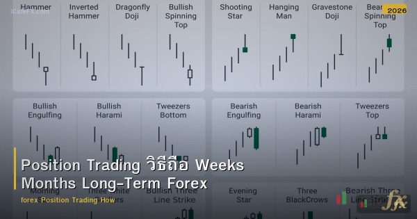 Position Trading วิธีถือ Weeks Months Long-Term Forex