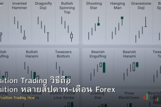 Position Trading วิธีถือ Position หลายสัปดาห์-เดือน Forex