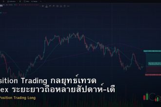 Position Trading กลยุทธ์เทรด Forex ระยะยาวถือหลายสัปดาห์-เดือน