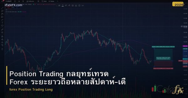 Position Trading กลยุทธ์เทรด Forex ระยะยาวถือหลายสัปดาห์-เดือน