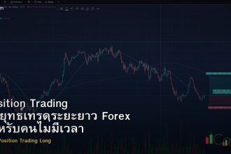 Position Trading กลยุทธ์เทรดระยะยาว Forex สำหรับคนไม่มีเวลา
