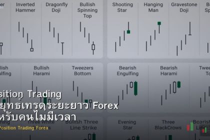 Position Trading กลยุทธ์เทรดระยะยาว Forex สำหรับคนไม่มีเวลา