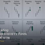 Position Trading กลยุทธ์เทรดระยะยาว Forex สำหรับคนทำงาน