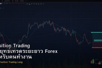 Position Trading กลยุทธ์เทรดระยะยาว Forex สำหรับคนทำงาน