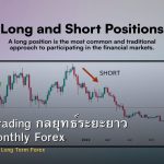 Position Trading กลยุทธ์ระยะยาว Weekly Monthly Forex