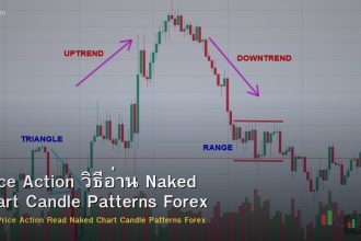 Price Action วิธีอ่าน Naked Chart Candle Patterns Forex