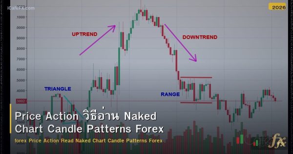 Price Action วิธีอ่าน Naked Chart Candle Patterns Forex