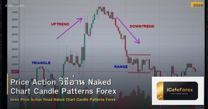 Price Action วิธีอ่าน Naked Chart Candle Patterns Forex