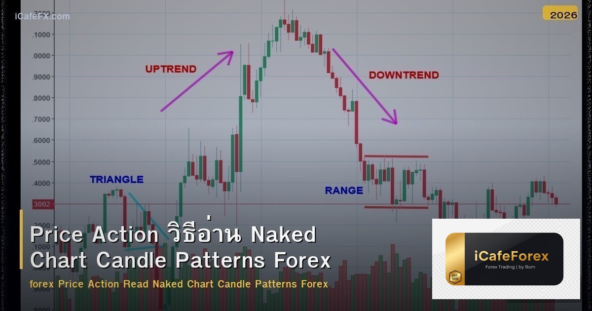 Price Action วิธีอ่าน Naked Chart Candle Patterns Forex